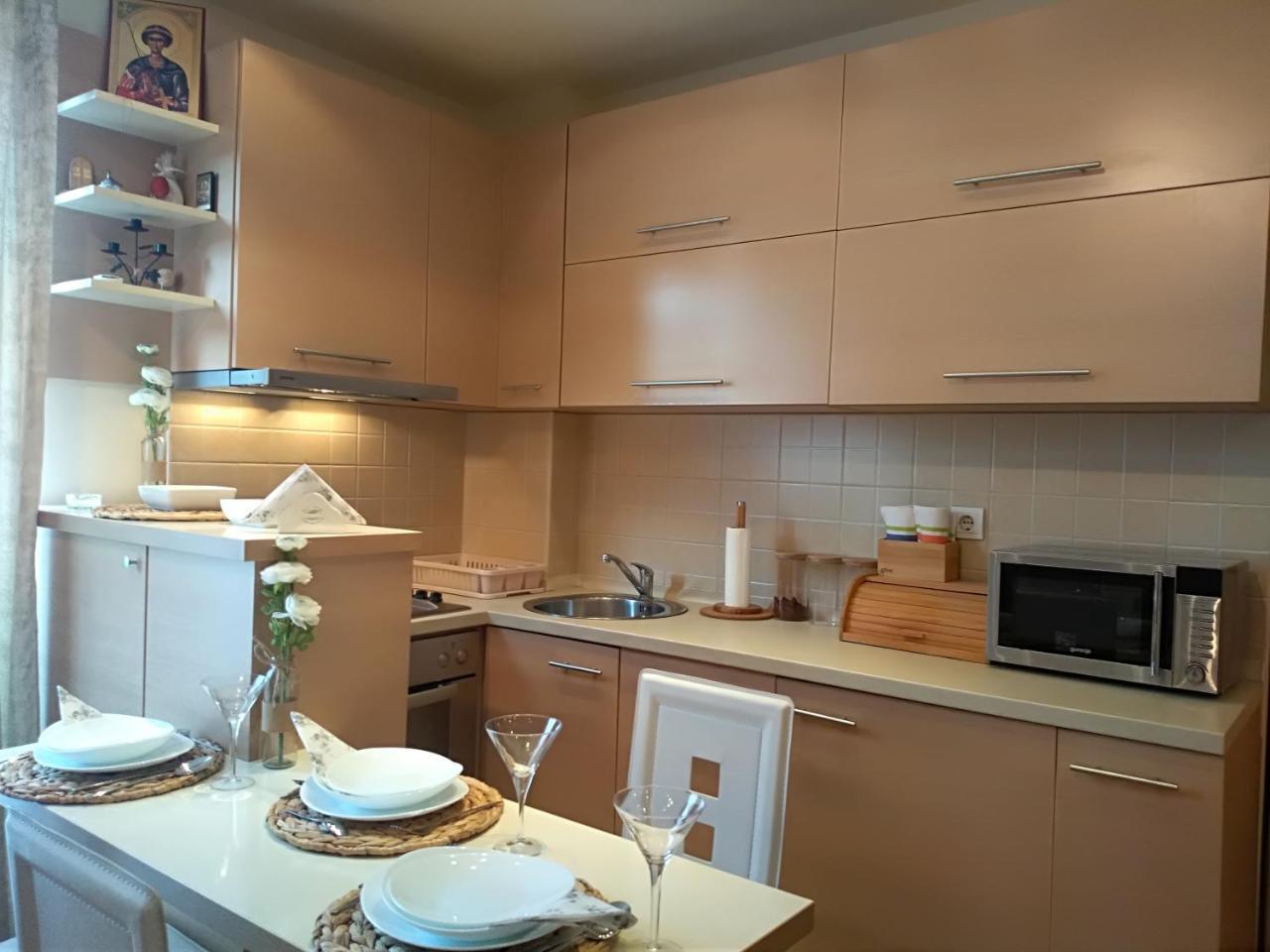 Apartman Nina Vojvode Stepe Vozdovac Vozdivac Bagian luar foto
